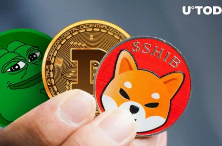 SHIB, DOGE and PEPE’s Market Making Insights Unmasked
