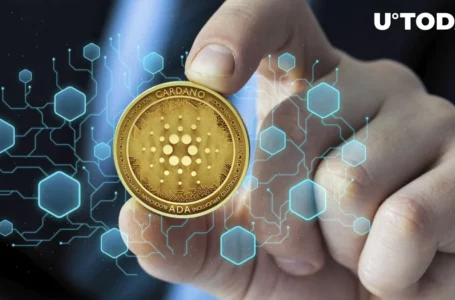 Cardano Rockets to Top 10 in DEX Volume With Minswap