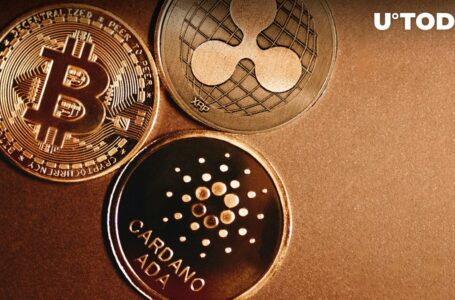 XRP, BTC, ADA Hit Rock-Bottom Trade Volumes: Is Crypto Market Collapse Coming?