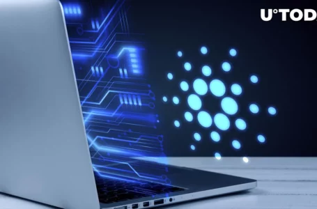 Cardano Becomes Ninth Biggest DEX Chain in World by Volume
