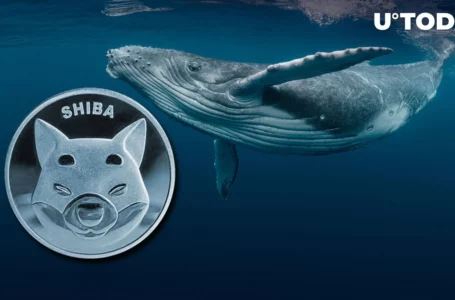 40 Billion Shiba Inu Scooped up by Whales as Shibarium Sets Major New Records