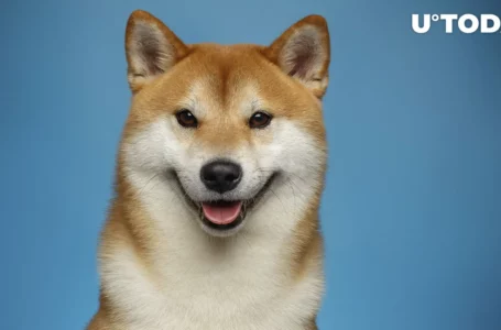 ShibaSwap 2.0 in Works, Shiba Inu (SHIB) Community Delighted