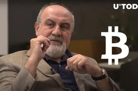 Bitcoin’s Hedge Myth Exposed by ‘Black Swan’ Author