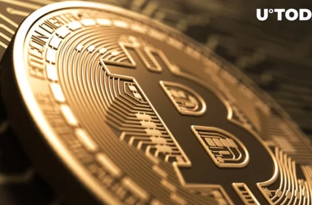 Bitcoin (BTC) Might Be Nearing Historic Macro Turning Point per This Metric