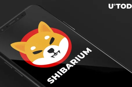 Shiba Inu’s Shibarium Smashes Huge Utility Milestone