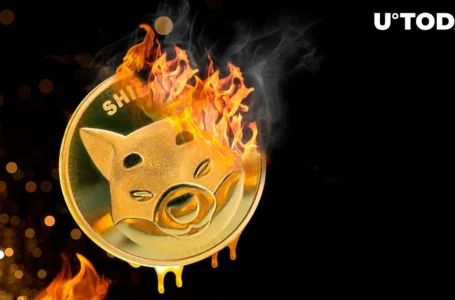Billions of SHIB Burned Within Past 7 Days As Shiba Inu Price Attempts to Recover