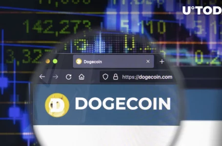 $2 Billion in DOGE Held by Robinhood Now After Big Decline in Its Dogecoin Supply