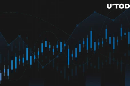 Long-Term Bitcoin Holders’ Transactions Show 2,000% Increase