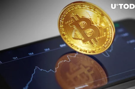 Bitcoin Awakens: Address Activity Soars, Fueling Price Surge