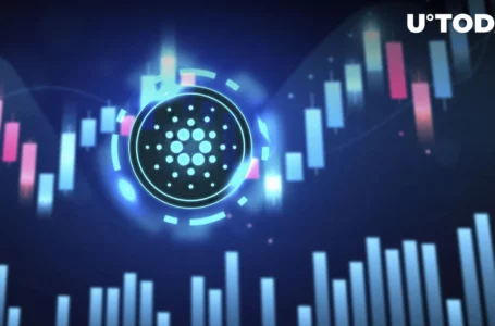 Cardano Altcoins’ Prices Exploding, Crypto Capital Venture CEO Says There Will Be Big Dips