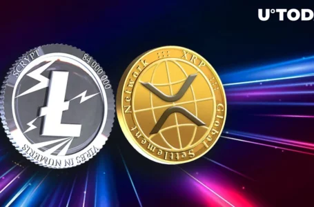 2 Key Reasons Why XRP and Litecoin (LTC) Are Attracting Investors’ Funds Right Now