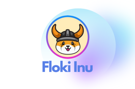 Floki Inu (FLOKI) Review: Everything You Need To Know