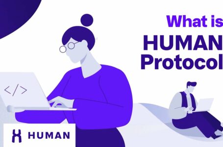 Human Protocol Review: Everything You Need To Know