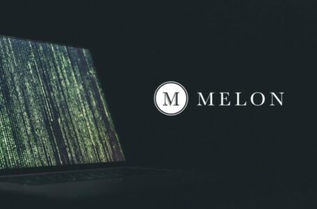 Melon (MLN) Review: Develop Your Own Blockchain Hedge Fund