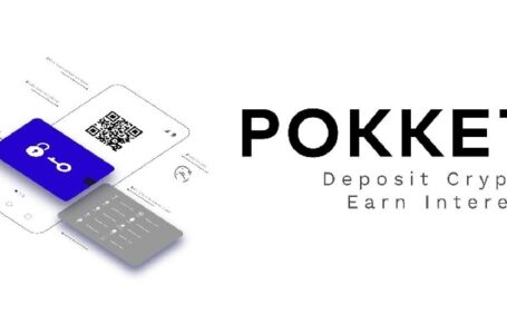 POKKET Review: A Crypto Investment Savings Account