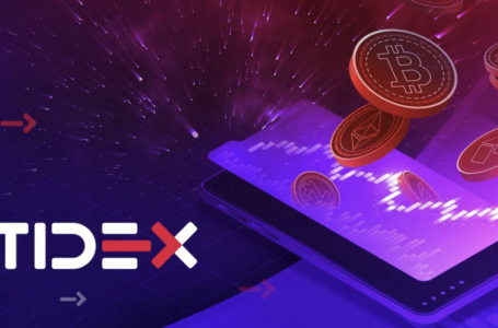 Tidex Review: A Waves-Integrated Exchange
