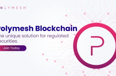 Polymesh (POLYX) Review: A Layer 1 Blockchain Solutions Provider