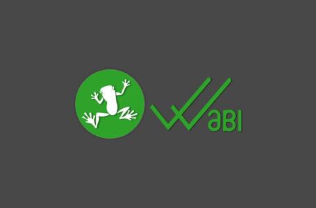 WaBi Review: All You Need To Know