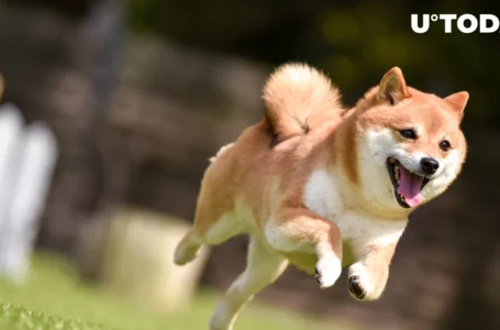 Shiba Inu (SHIB) Outperforms Cardano (ADA), XRP and Other Altcoins