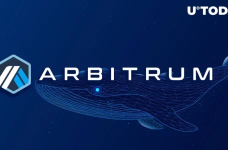 Arbitrum (ARB) on Solid 8% Rise as Whales and Andrew Kang Chipping In