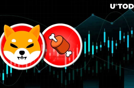 BONE Price Jumps as Token Hits New Milestone As SHIB Army