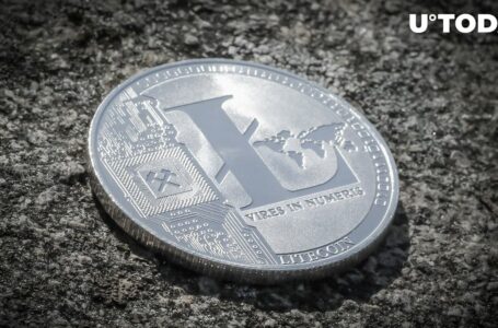 Litecoin Price History Unveils Major Hint Prior to LTC Halving