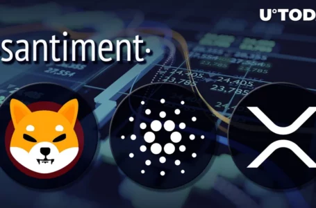 XRP, ADA and SHIB Are Undervalued, Santiment Says