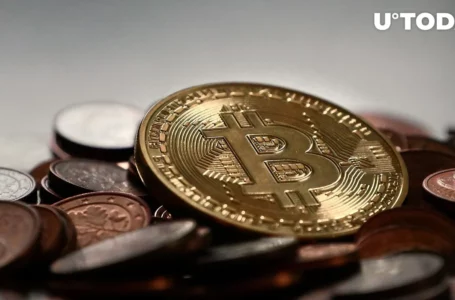 If Bitcoin Price Does This, 780,000 BTC Might Be at Risk