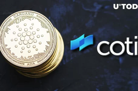 Cardano DJED Stablecoin Issuer COTI Shares Troubling News, What’s Happening?
