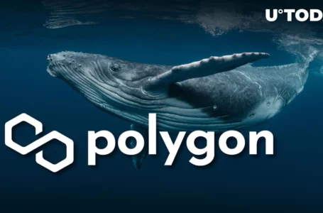 Polygon (MATIC) Sees 742% Surge in Big Moves as Whales React to New Development