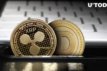 XRP, Dogecoin (DOGE) Prices Jump, Here’s What Led Significantly to Market Recovery