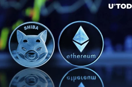 Major Trader Snaps up Shiba Inu (SHIB) and Ethereum (ETH) Dips With Millions of Dollars