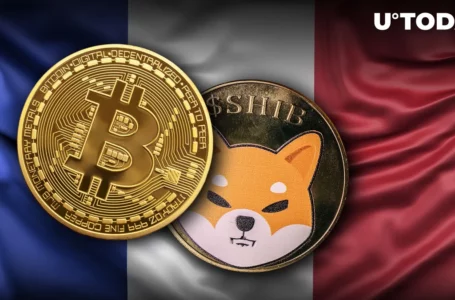 SHIB, BTC, ETH Accepted as Payment by 440 Merchants in France via This Partnership