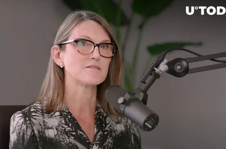 Why Cathie Wood’s $1 Million Bitcoin Price Target Remains Unchanged