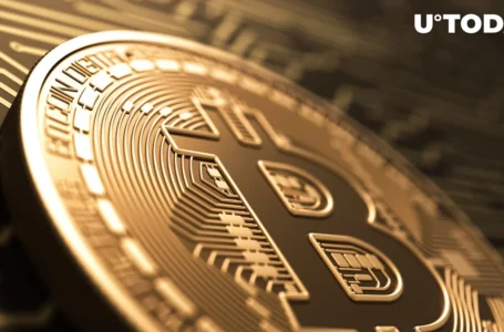 Satoshi: Interesting Fact on Bitcoin Founder’s Identity Hinted at By This CEO