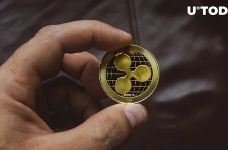 Ripple Unveils Major Report: Here’s Where Company Spent Hundreds of Millions
