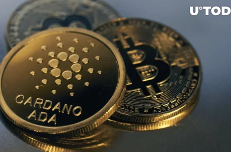Is Cardano a Security? ADA’s Decentralization Stats Compared to Bitcoin’s