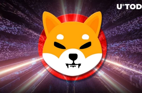 Shiba Inu (SHIB) Lead Excited at Latest Ecosystem Progress