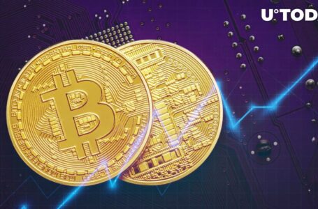 Bitcoin Price Expected to Hit $50K in Slow Steady Increase: Analyst