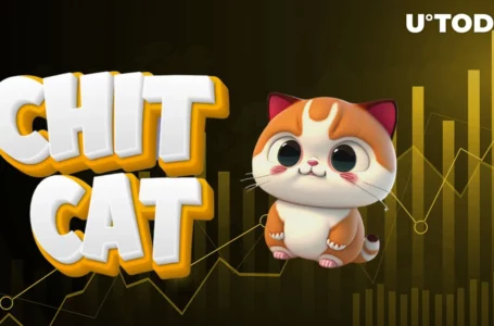 This Cat-Themed Meme Coin Is up 35%, Can It Beat Dogecoin’s Legacy?