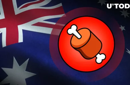 Shiba Inu’s BONE Eyes Listing on Australian Crypto Exchange: Details