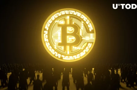 Bitcoin Dominance Approaches 50% Amid Market Shift