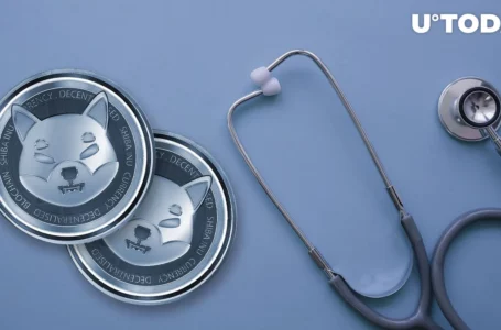 Shiba Inu: Crypto Will Help With Global Healthcare, Prominent SHIB Team Member Claims