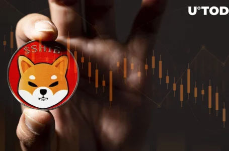 Shiba Inu’s Major Exchange Plunges to Absolute Lows Amid SHIB Price Crash
