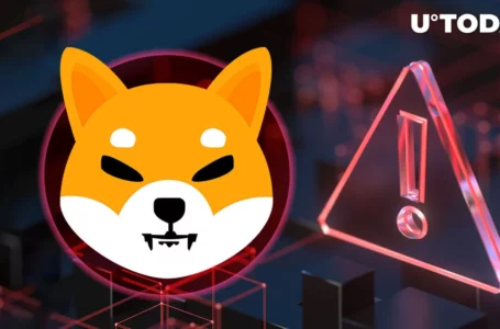 Shiba Inu (SHIB) Community Alerted to New Scam Means: Details