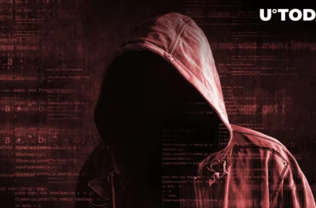 Bitcoin Rewards Scam: 1,000+ Fake Websites Involved