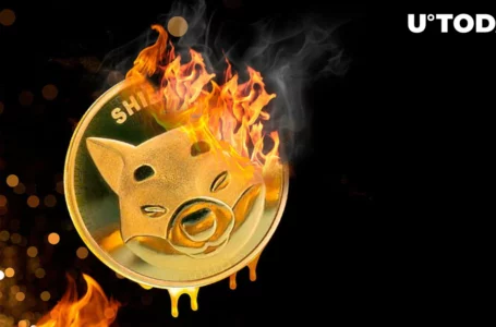 SHIB Burns Deep in Red on All Metrics, Despite Recent SHIB Price Recovery