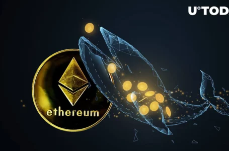 Is This $738 Million Ethereum (ETH) Whale Weirdest One?