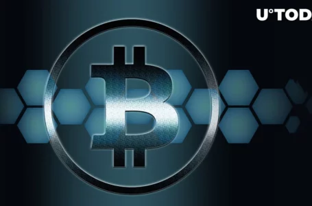 Bitcoin (BTC) Sits on Thin Ice, Crypto Analyst Issues Concerning Price Warning