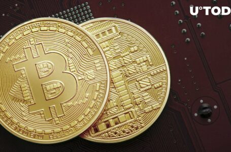 Bitcoin (BTC): Top Trader Gives Scary Prediction as Price Drops